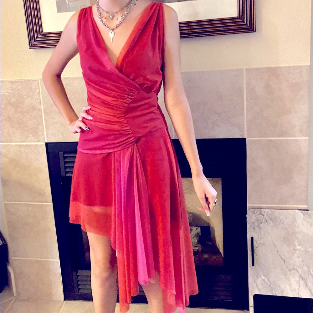 Stunning Ema Savahl Couture Dress